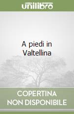 A piedi in Valtellina libro