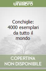 Conchiglie: 4000 esemplari da tutto il mondo