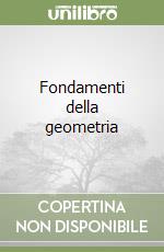 Fondamenti della geometria libro