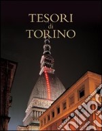 Tesori di Torino libro