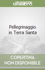 Pellegrinaggio in Terra Santa libro