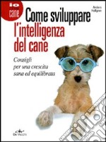 Come sviluppare l'intelligenza del cane. Consigli per una crescita sana ed equilibrata