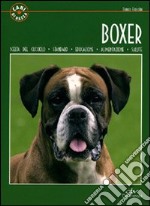 Il boxer