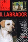 Il Labrador libro