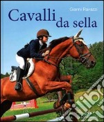 Cavalli da sella