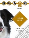 Border collie libro