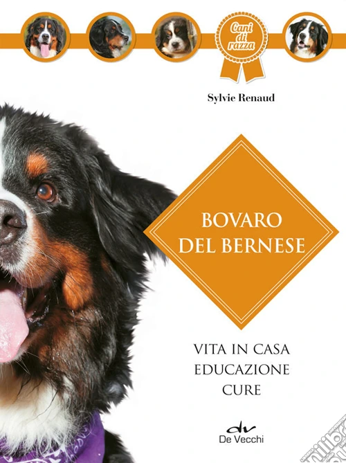 Bovaro bernese
