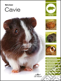 Cavie
