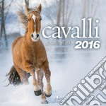 Cavalli. Calendario 2016 libro