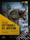 Cattedrali del mistero. Simbologia, architettura e bellezza libro di Cerinotti A. (cur.)