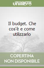 Il budget. Che cos'è e come utilizzarlo
