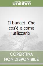 Il budget. Che cos'è e come utilizzarlo libro