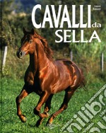 Cavalli da sella