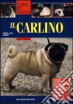 Il carlino libro