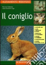 Il coniglio