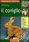 Il coniglio libro