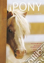 Il pony libro