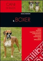 Il boxer