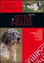 Il setter inglese