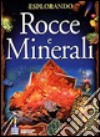 Rocce e minerali libro