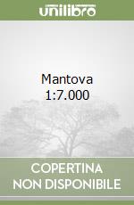 Mantova 1:7.000 libro