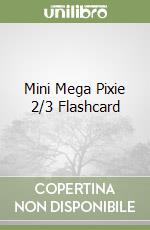 Mini Mega Pixie 2/3 Flashcard libro