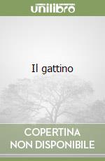 Il gattino libro