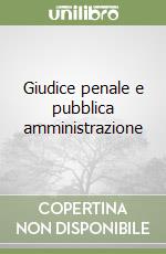 Giudice penale e pubblica amministrazione libro