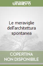 Le meraviglie dell'architettura spontanea libro