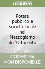 Potere pubblico e società locale nel Mezzogiorno dell'Ottocento