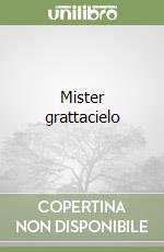 Mister grattacielo