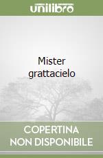 Mister grattacielo libro