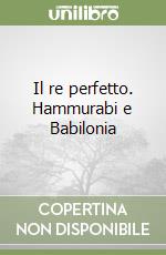 Il re perfetto. Hammurabi e Babilonia libro