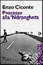 Processo alla 'ndrangheta libro