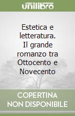 Estetica e letteratura. Il grande romanzo tra Ottocento e Novecento libro