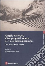 Angelo Omodeo. Vita, progetti, opere per la modernizzazione. Una raccolta di scritti libro