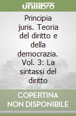 Principia juris. Teoria del diritto e della democrazia. Vol. 3: La sintassi del diritto