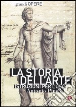 La storia dell'arte. Istruzioni per l'uso. Ediz. illustrata libro