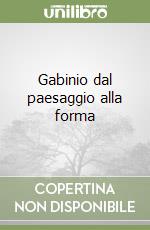 Gabinio dal paesaggio alla forma