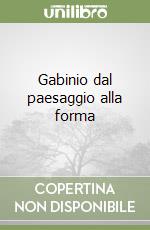 Gabinio dal paesaggio alla forma libro