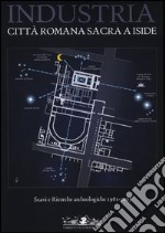 Industria. Città romana sacra a Iside. Studi e ricerche archeologiche 1981-2003. Ediz. illustrata