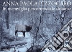 Anna Paola Pizzocaro. In meraviglia percorrendo le distanze. Ediz. italiana e inglese libro