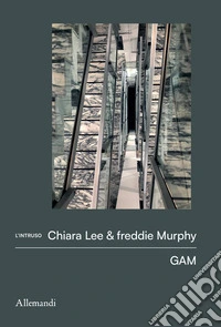 I quaderni dell'intruso. Chiara Lee & freddie Murphy. Ediz. illustrata libro