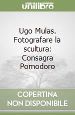 Ugo Mulas. Fotografare la scultura: Consagra Pomodoro libro