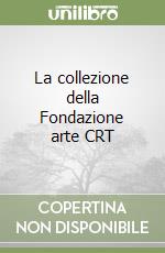 La collezione della Fondazione arte CRT libro