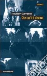 Che cos'è il cinema. Con un dizionario delle tecniche, dei generi e delle teorie libro