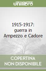 1915-1917: guerra in Ampezzo e Cadore libro