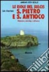 Le isole del Sulcis: S. Pietro e S. Antioco libro
