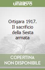 Ortigara 1917. Il sacrificio della Sesta armata libro