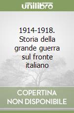 1914-1918. Storia della grande guerra sul fronte italiano libro